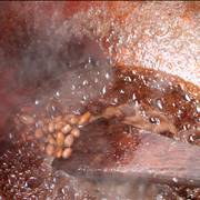 Candy Making Process